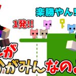 【PICO PARK2】結成12年のチームワーク!!これがあかがみん【ピコパーク2/赤髪のとも/あかがみん】