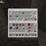 【マイクラ】1.16.1でエンドラ討伐してみようの回【赤髪のとも】