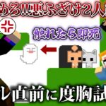 【PICO PARK2】ゴール前で繰り広げる悪ふざけ2人組の度胸試しｗ【ピコパーク2/赤髪のとも/あかがみん】