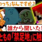 赤髪のともの｢禁足地｣に足を踏み入れたズズ【赤髪のとも/ズズ】 #MHWS #モンスターハンターワイルズ