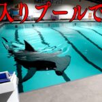 トラウマになる「殺人サメがいるプールを泳いで脱出するホラーゲーム」【Sharks and Minnows】