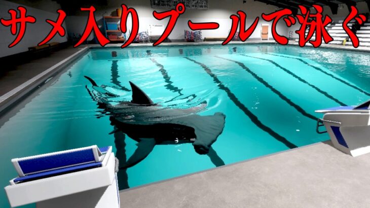 トラウマになる「殺人サメがいるプールを泳いで脱出するホラーゲーム」【Sharks and Minnows】