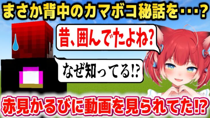 まさかの赤見かるびに｢あかがみん動画｣を見られてた赤髪のとも【マイクラハードコア1】