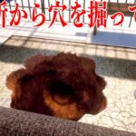スプーンで刑務所の床に穴を掘りまくって脱獄するゲーム【Prison Escape Simulator】