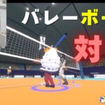 【VRChat】2対2でバレーボール対決！