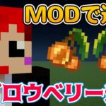 【マイクラ】グロウベリー追加MODで遊ぶの巻【赤髪のとも】