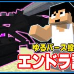 【エンドラ討伐クエスト】おらレベルあげるだ。エンドラ4/11